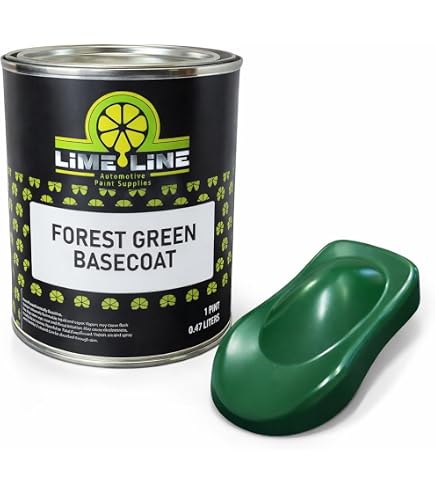 Amazon.com: Dupli-Color Paint Shop Finish System, Dark Emerald